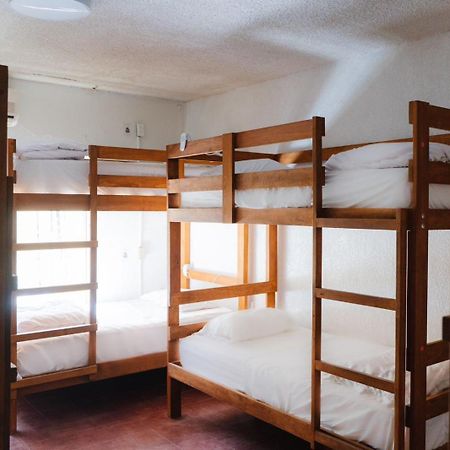 Desert Heart Hostel San José del Cabo Eksteriør billede