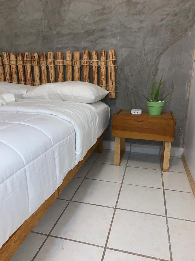 Desert Heart Hostel San José del Cabo Eksteriør billede