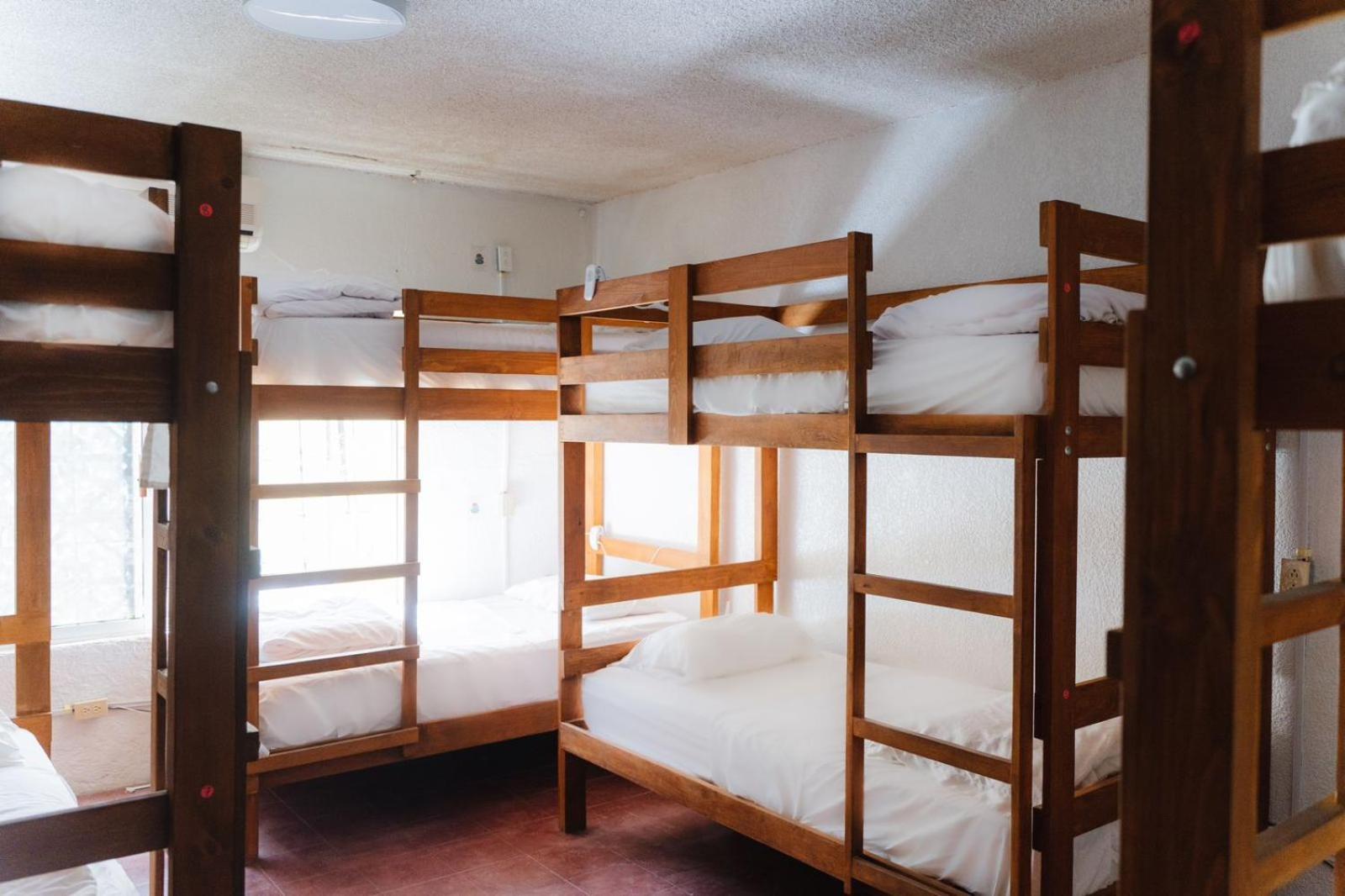 Desert Heart Hostel San José del Cabo Eksteriør billede