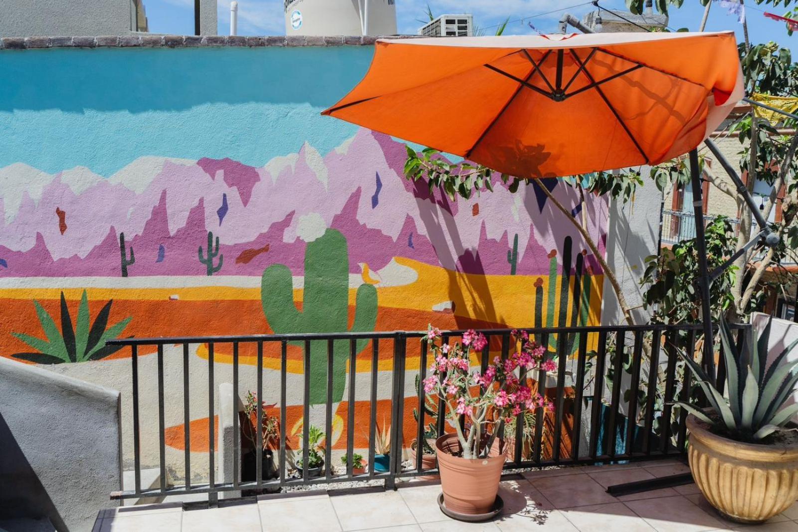 Desert Heart Hostel San José del Cabo Eksteriør billede